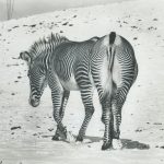 Andy Stott “It Should Be Us”