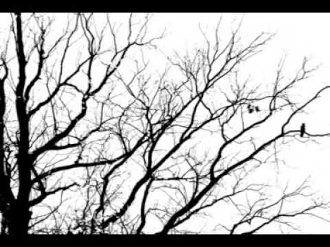 Franz Schubert "Wer nie sein Brot mit Tränen aß" D480