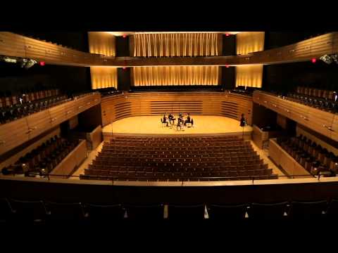 Afiara Quartet - Spin Cycle's First Cycle