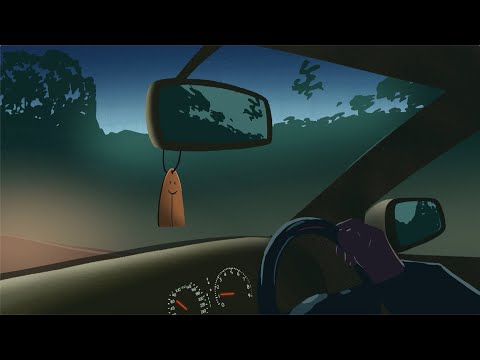 Snooch Dodd & The Pro-Teens - I Flip My Life Every Time I Fly (Official video clip)