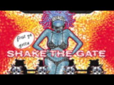 Ain't That Funkin' Kinda Hard on You - Funkadelic