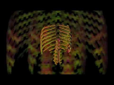 Walton - Frisbee (Hyperdub 2013)