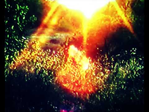 Dan Nicholls "Papa" (Official Music Video)