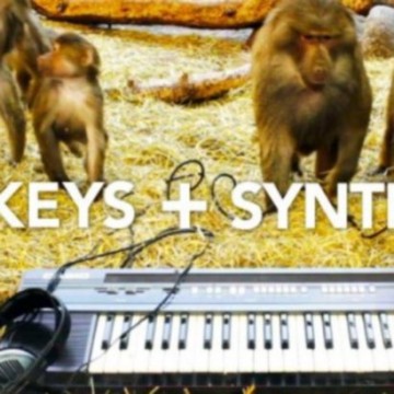 Monkeys VS Synths