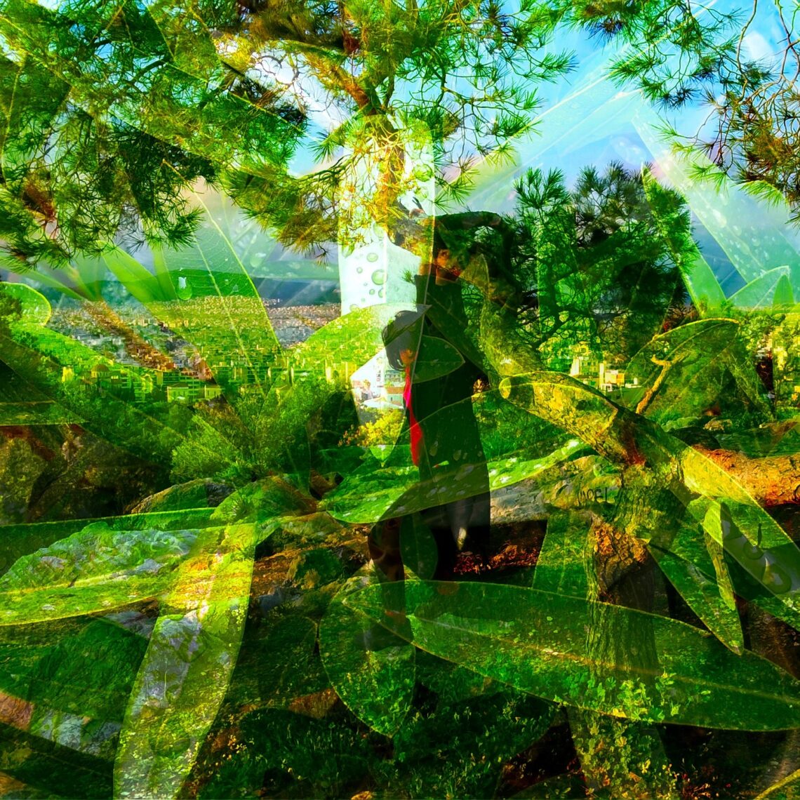 Exclusive Premiere Agile Experiments if You Believe Music Is My 